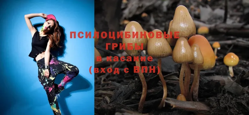 наркотики  Сафоново  Галлюциногенные грибы Magic Shrooms 